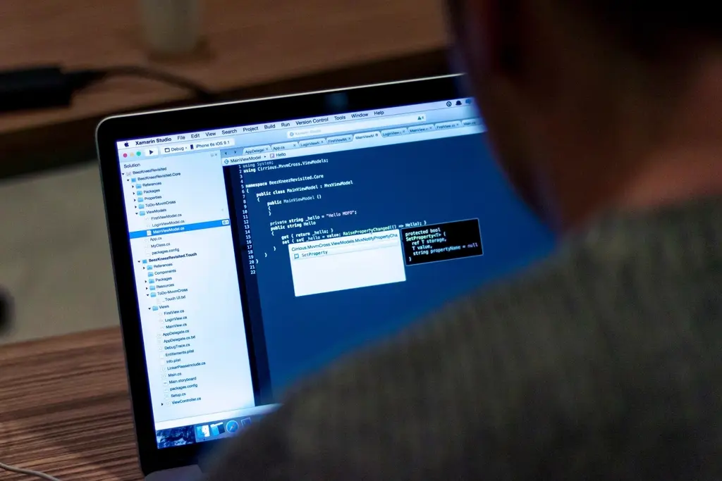 Developer writing code on a laptop, representing website development companies in the UAE