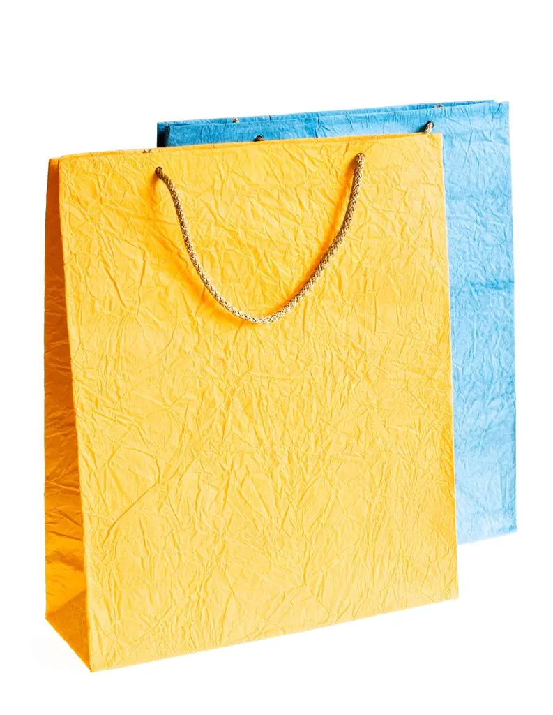 Shopping bags representing e-commerce and online retail