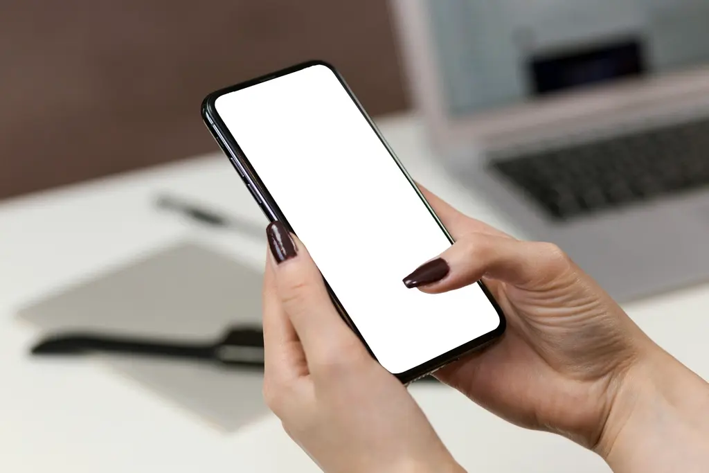 Smartphone screen mockup showing a mobile application interface